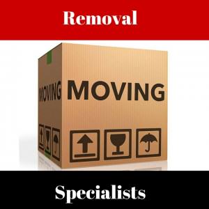 Removal specialists